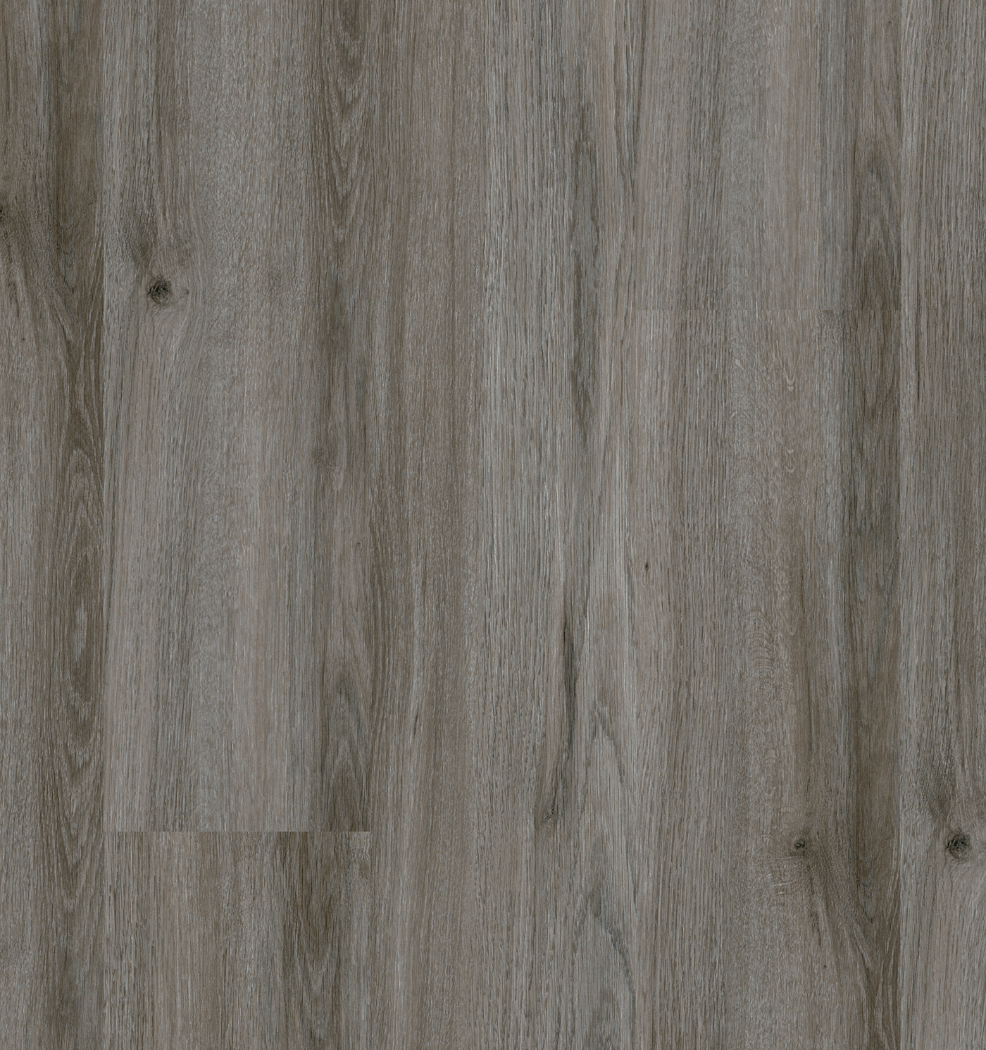 84285fa1-ilgazmese ilgaz mese